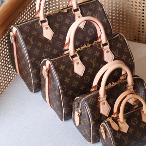 Louis Vuitton Speedy Bandoulière