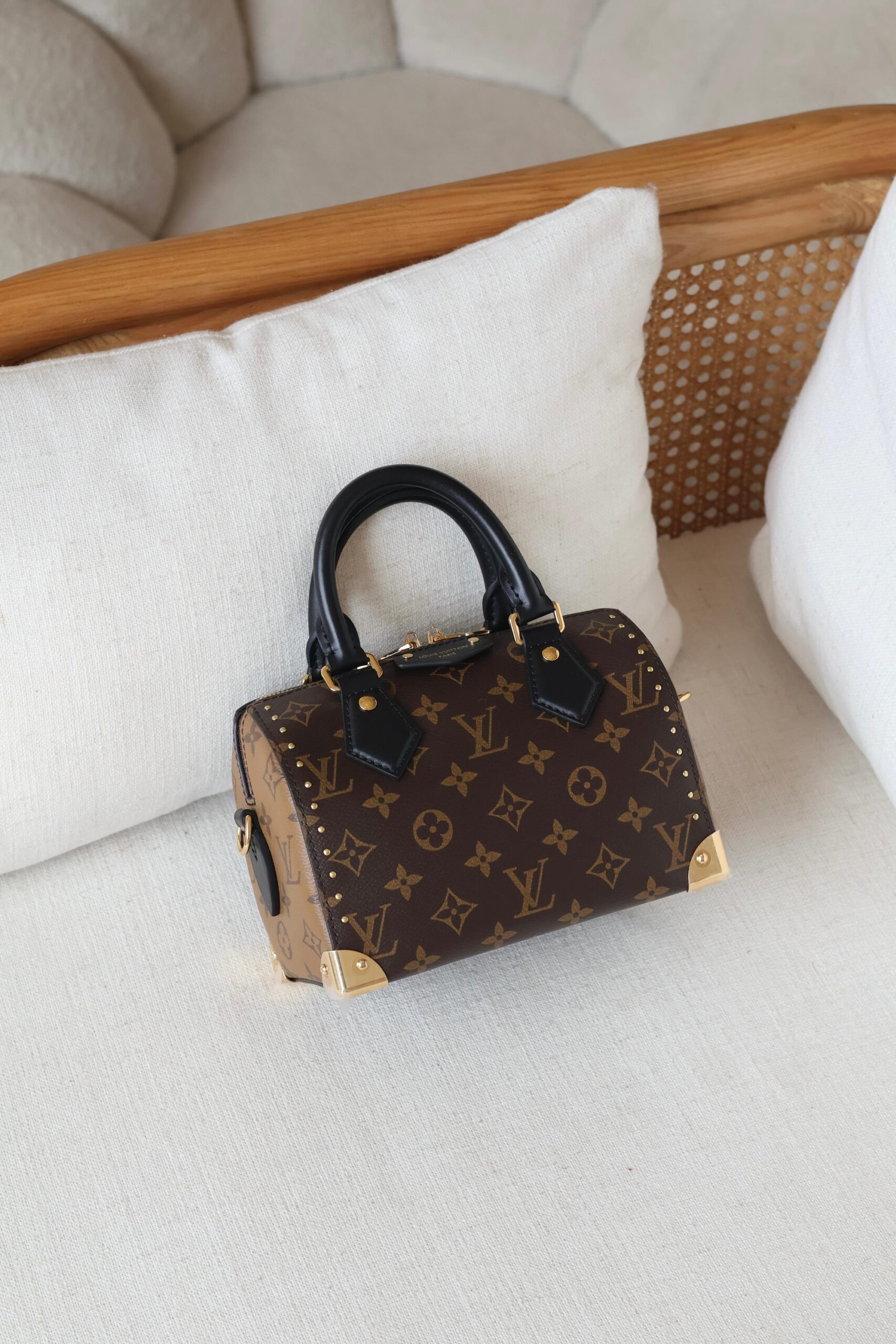 Louis Vuitton Speedy Trunk 20