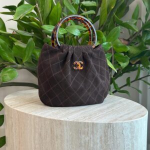 Chanel Small Suede Hobo Tortoiseshell Plexiglass Handles