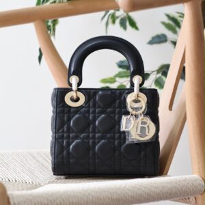Lady Dior Bag