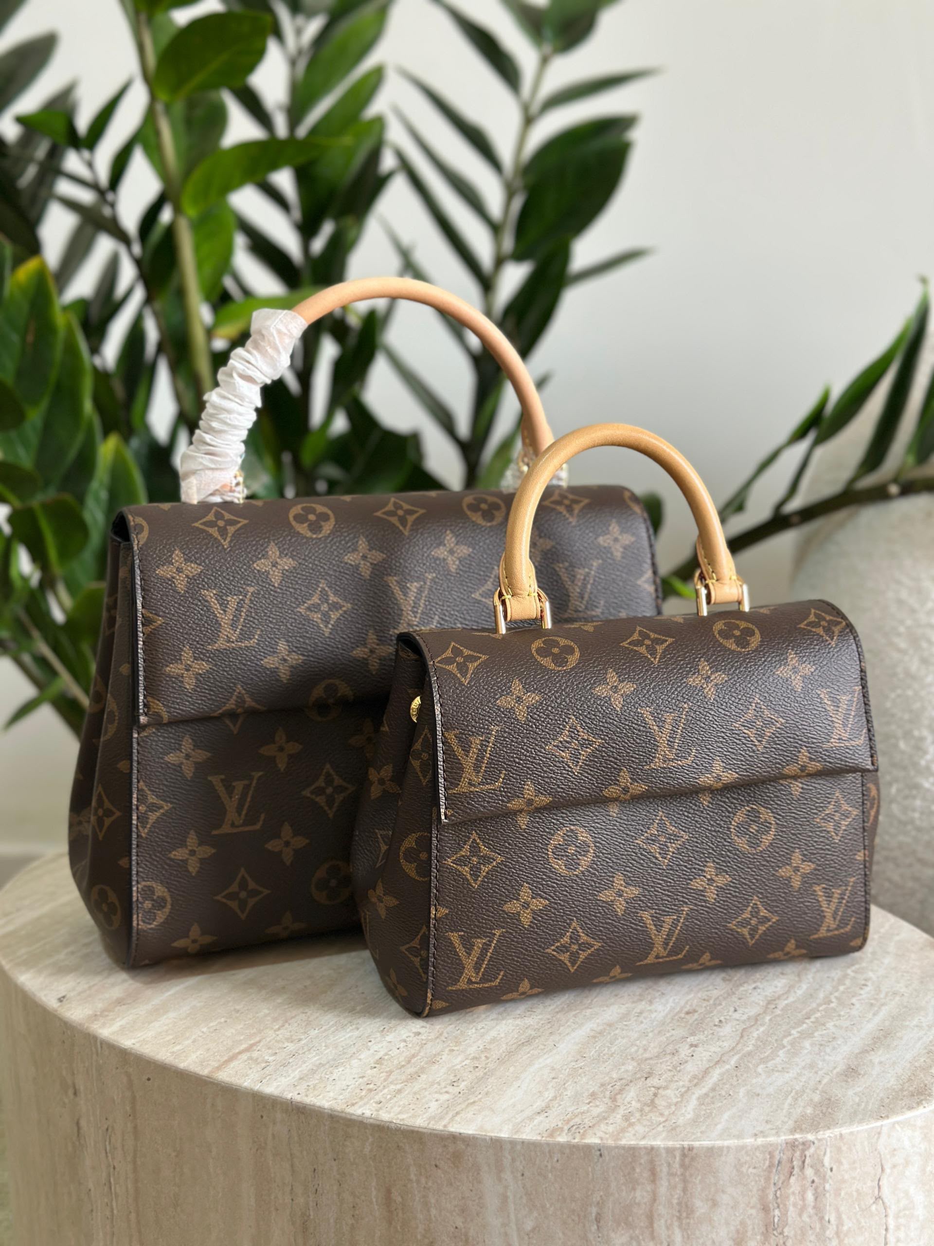 Louis Vuitton Cluny Mini Handbag