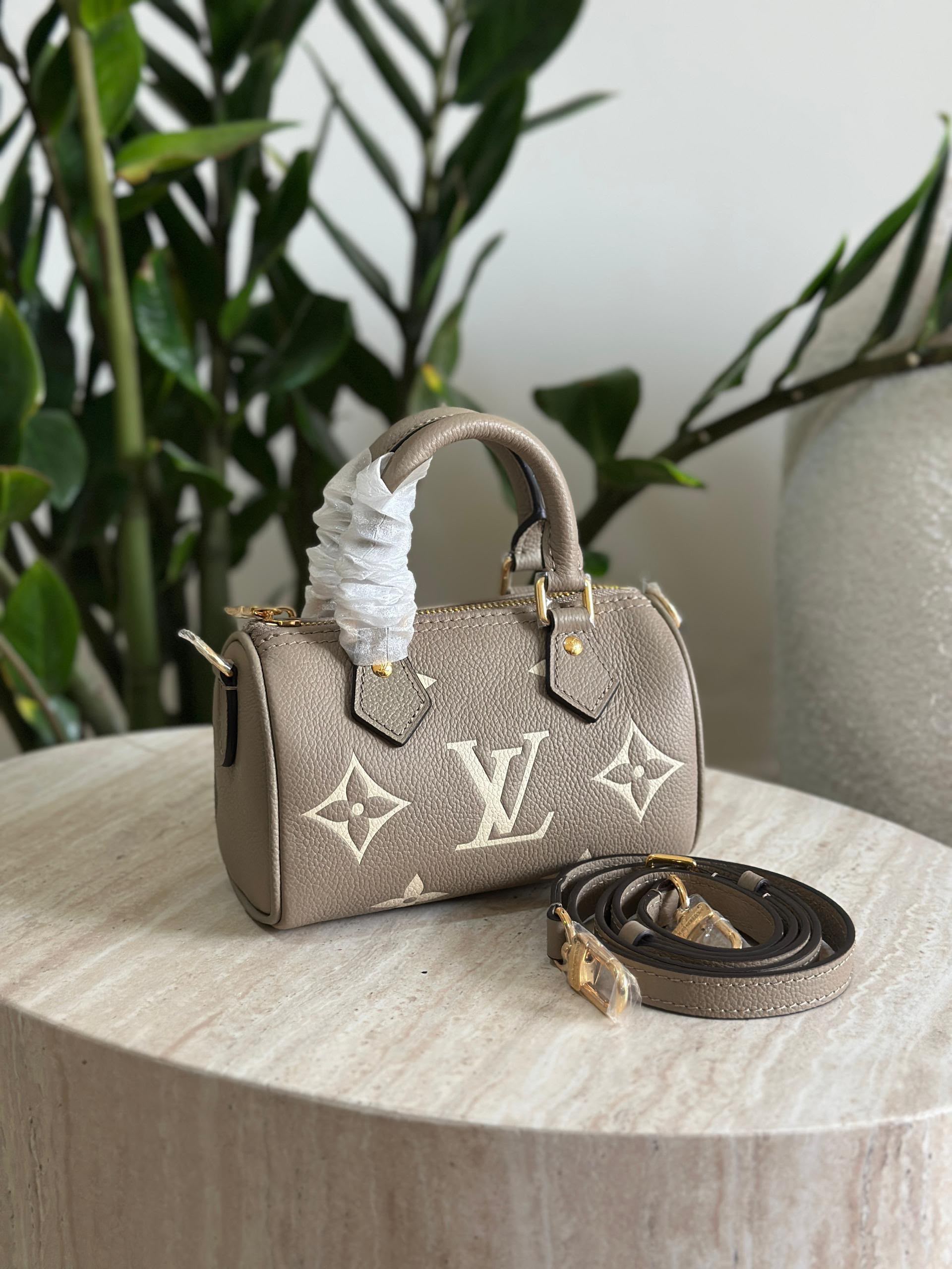 Louis Vuitton Nano Speedy