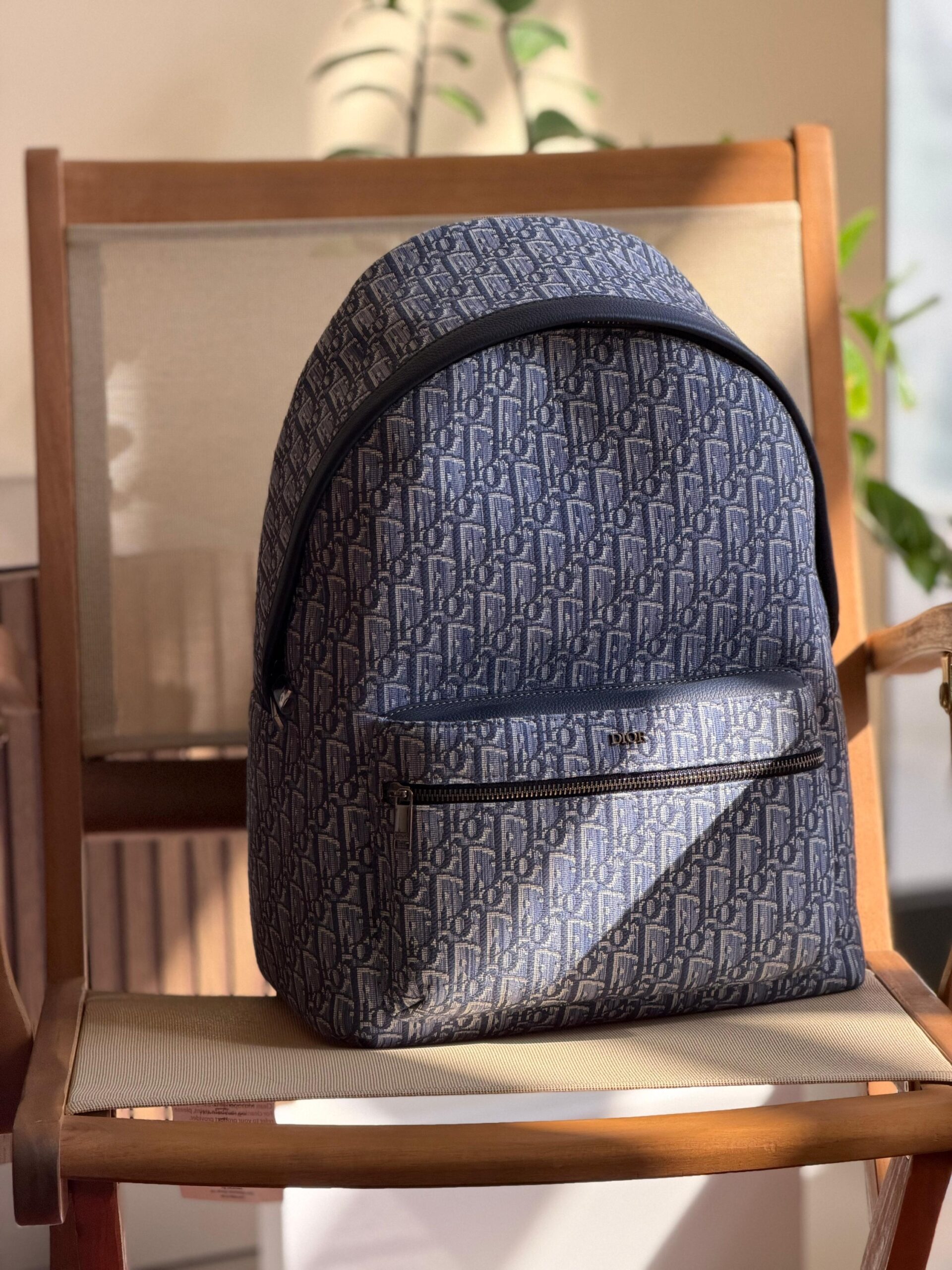 Dior Rider Backpack