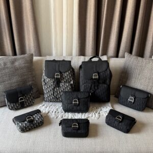 Dior Saddle Heritage Bags Backpacks