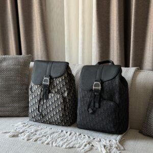 Dior Saddle Heritage Backpack