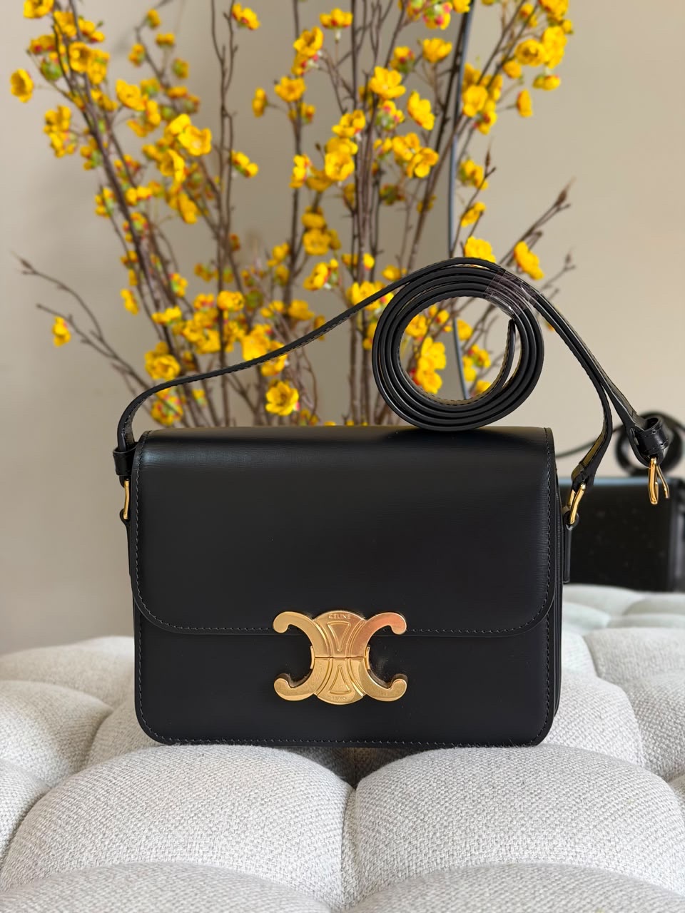 Celine Triomphe Bag Shiny Calfskin Leather - Image 2