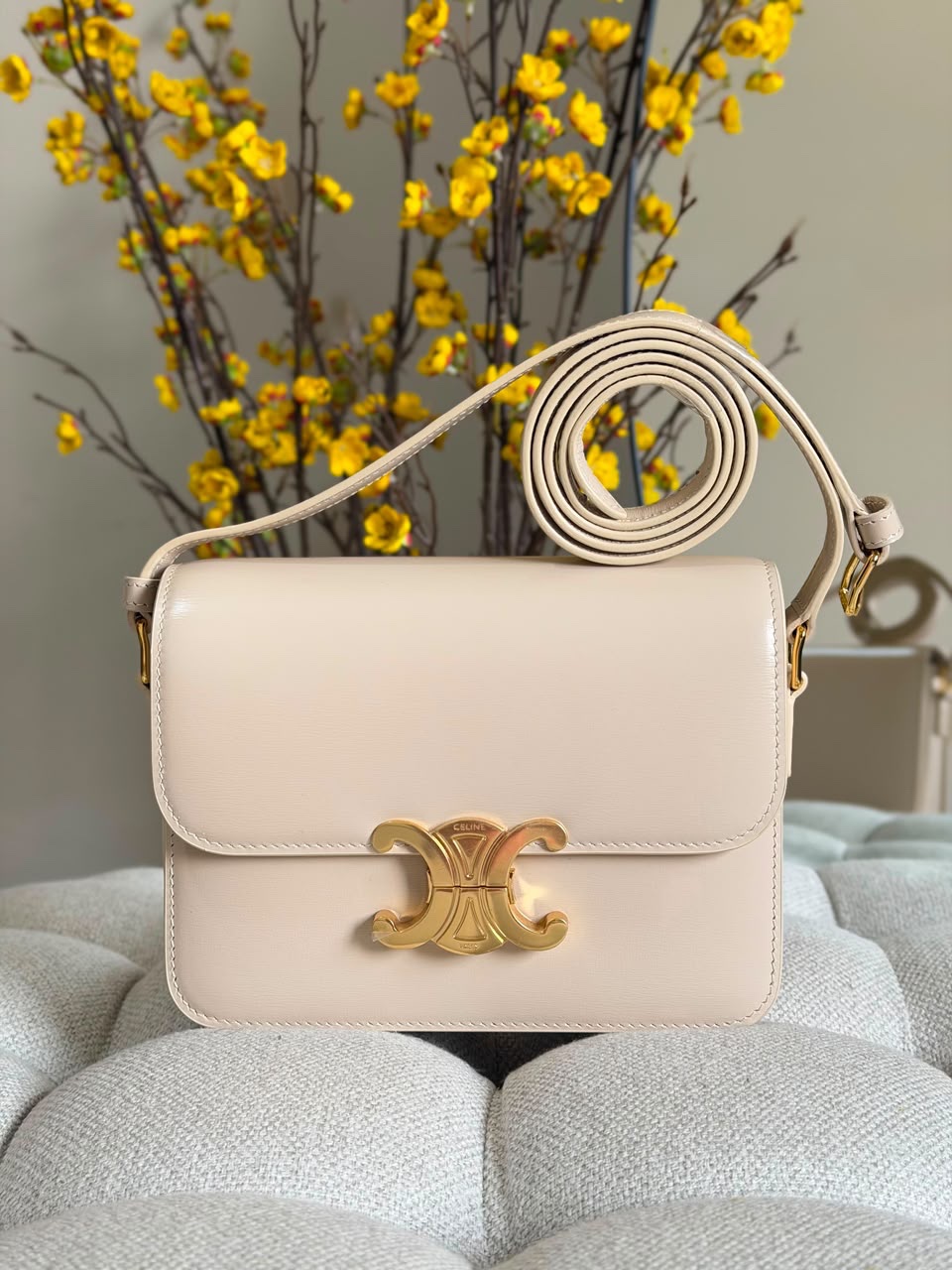 Celine Triomphe Bag Shiny Calfskin Leather - Image 7