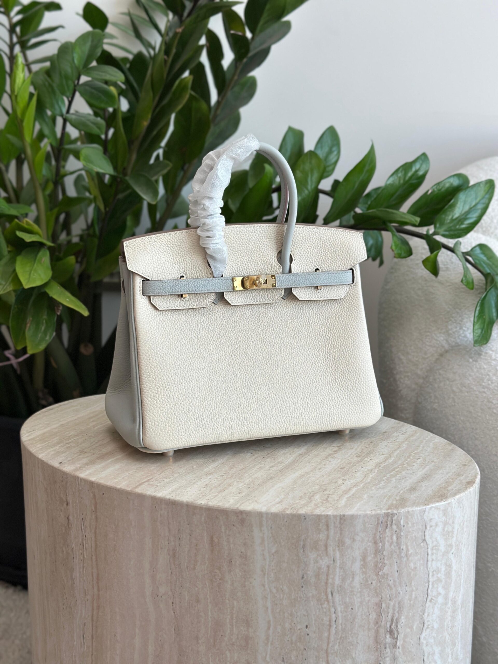 Hermès Birkin 25 Features A Two-Tone Design - Image 11