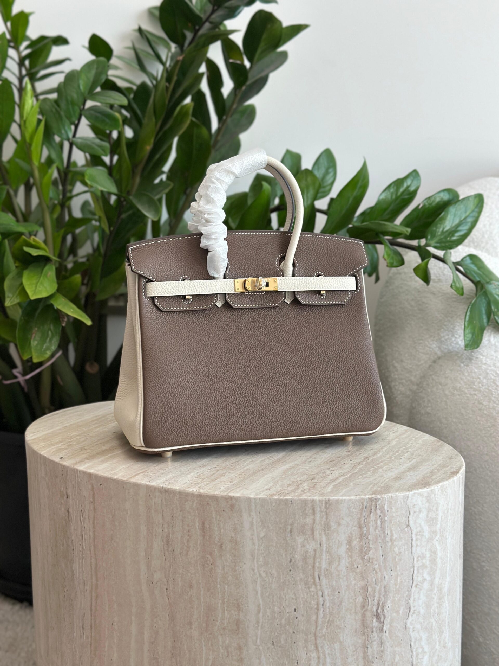 Hermès Birkin 25 Features A Two-Tone Design - Image 6