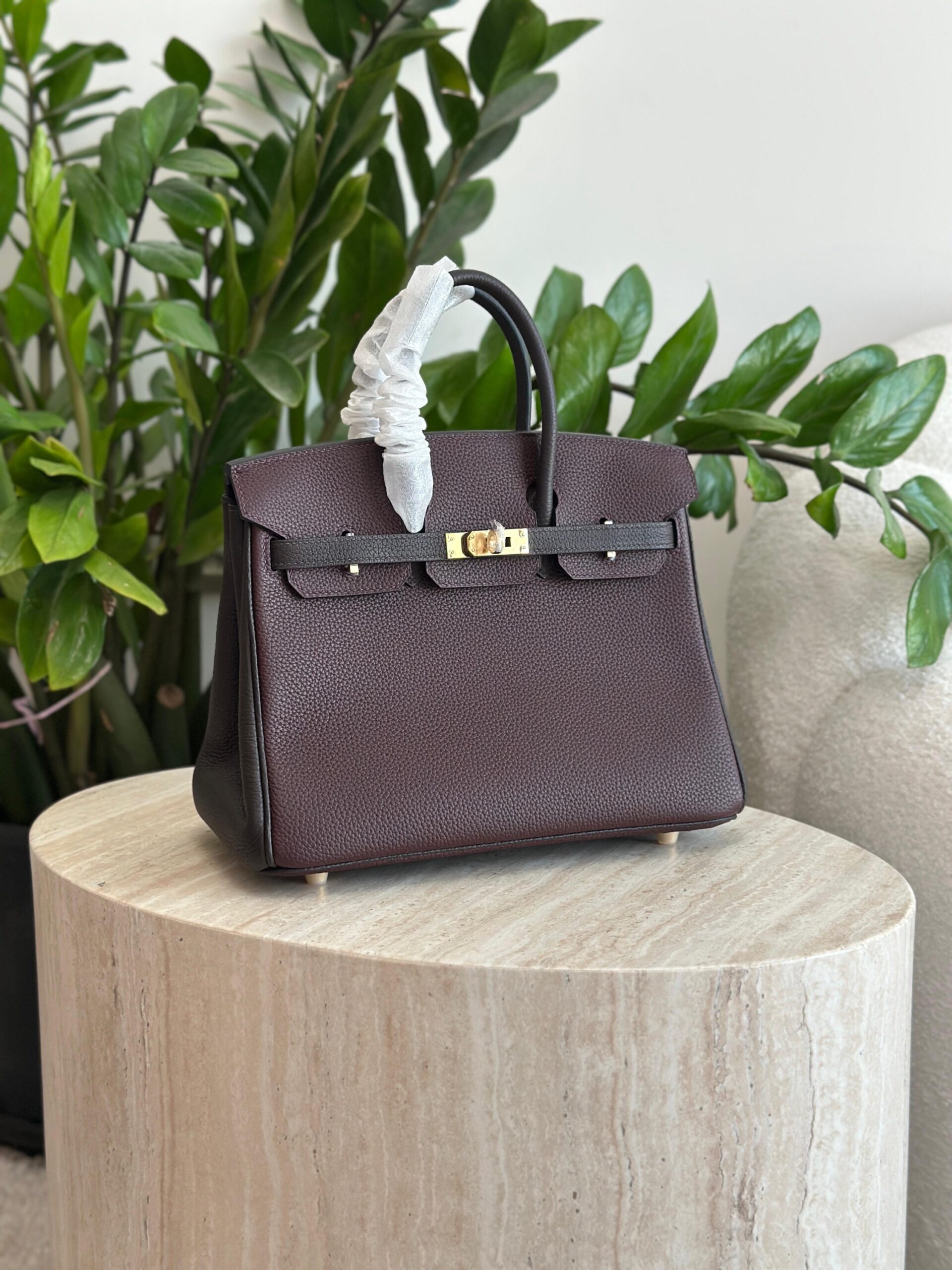 Hermès Birkin 25 Features A Two-Tone Design - Image 8