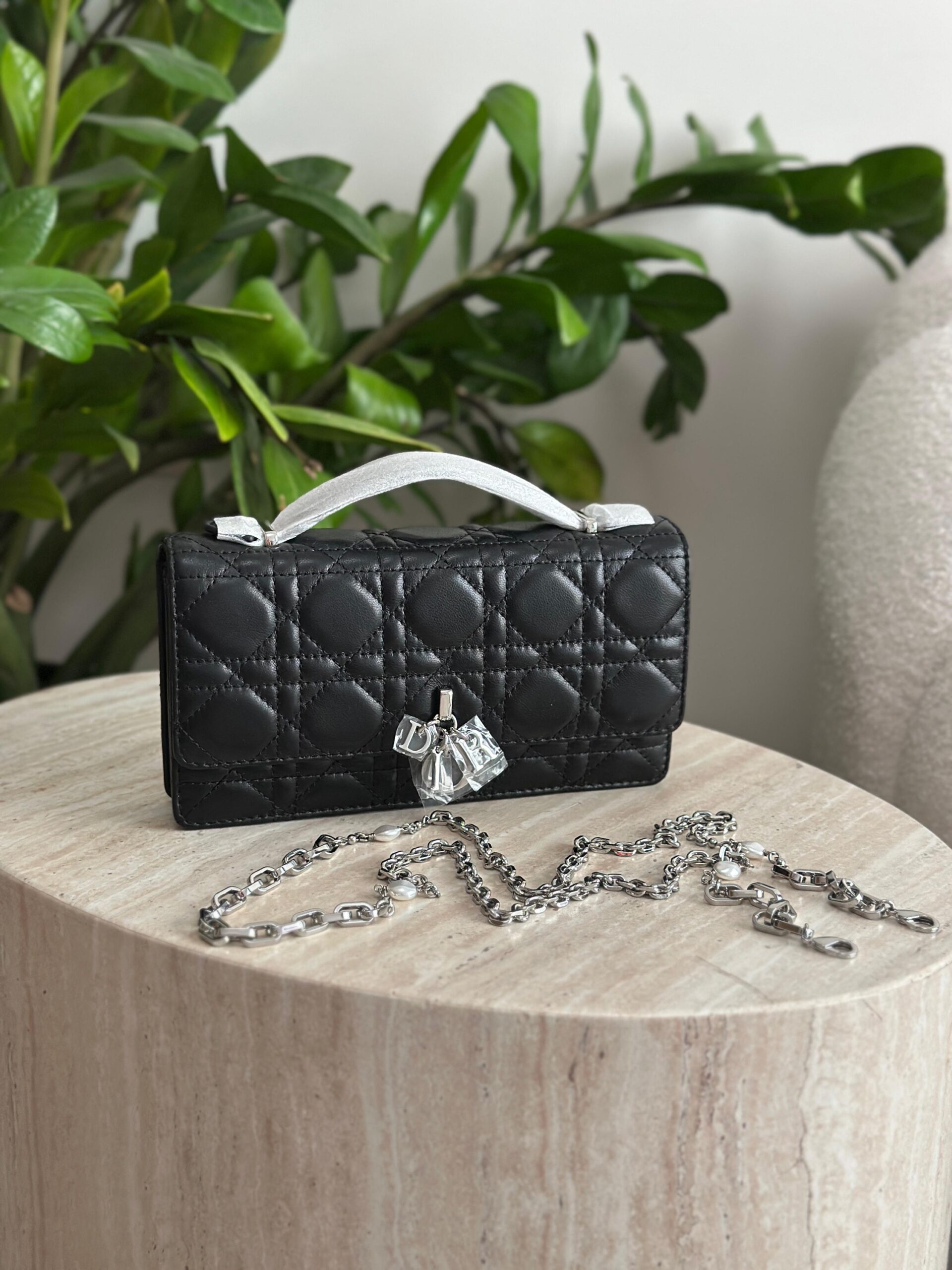 Dior Mini Bag - Image 20