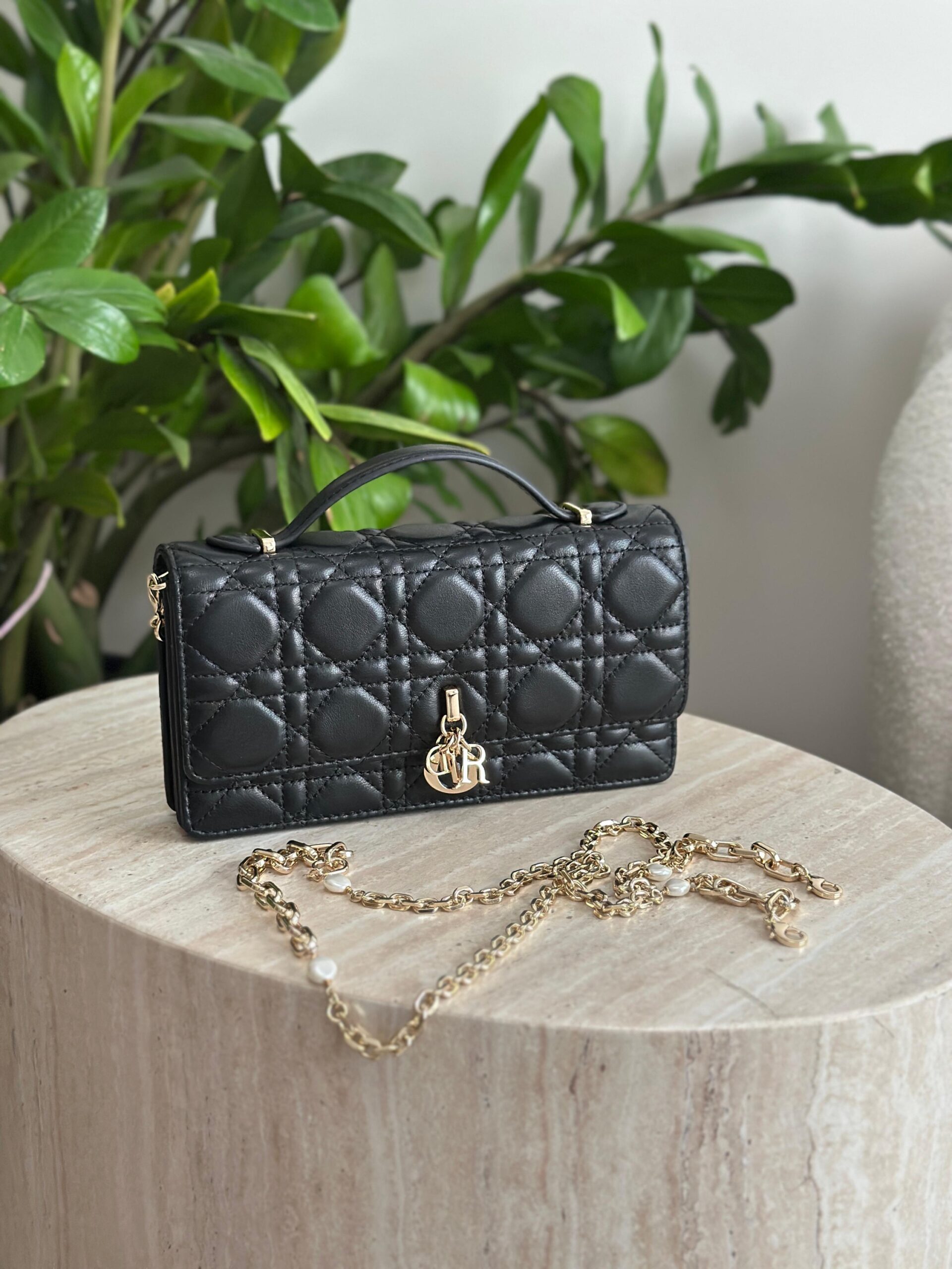 Dior Mini Bag - Image 11