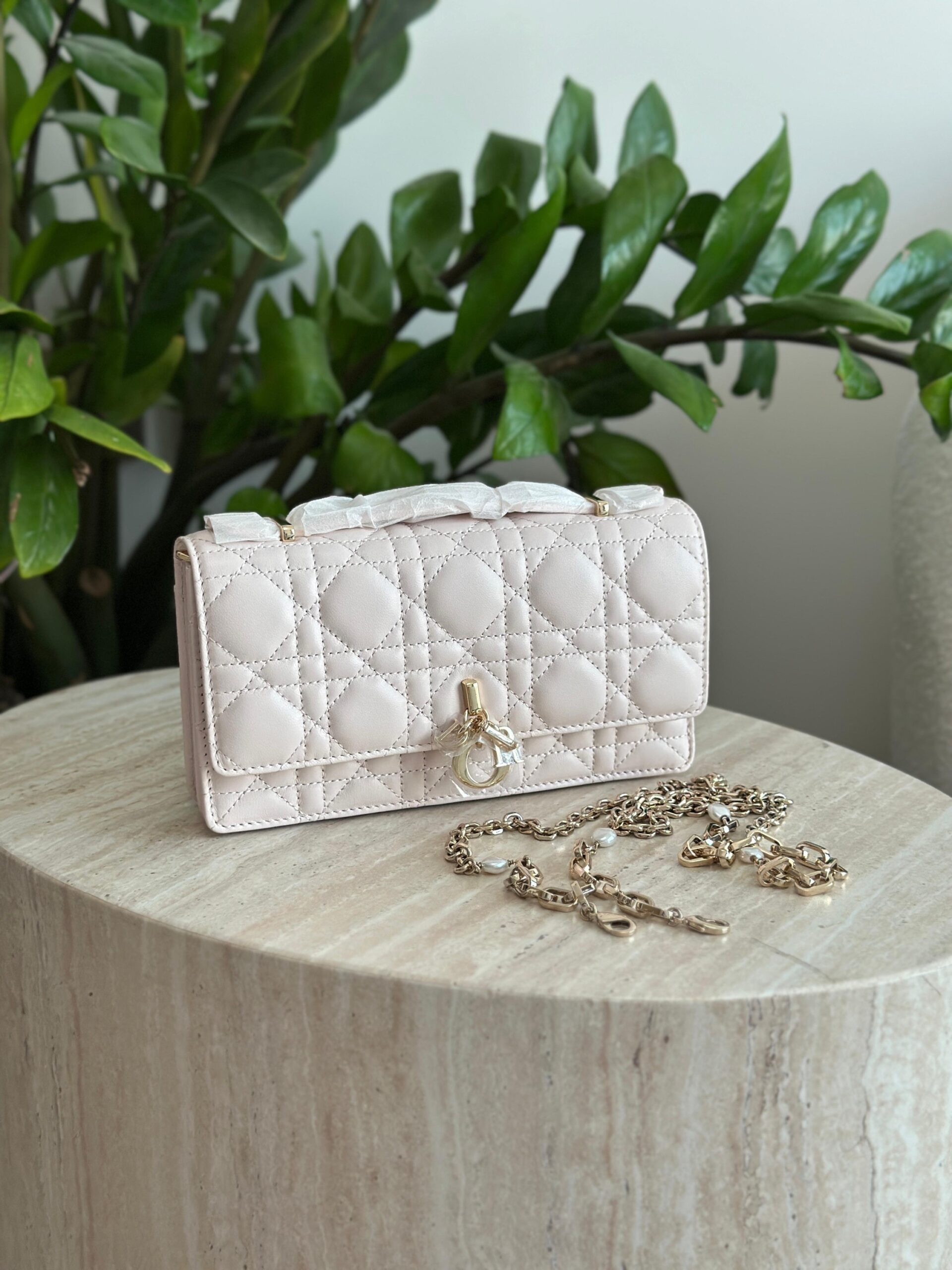 Dior Mini Bag - Image 15