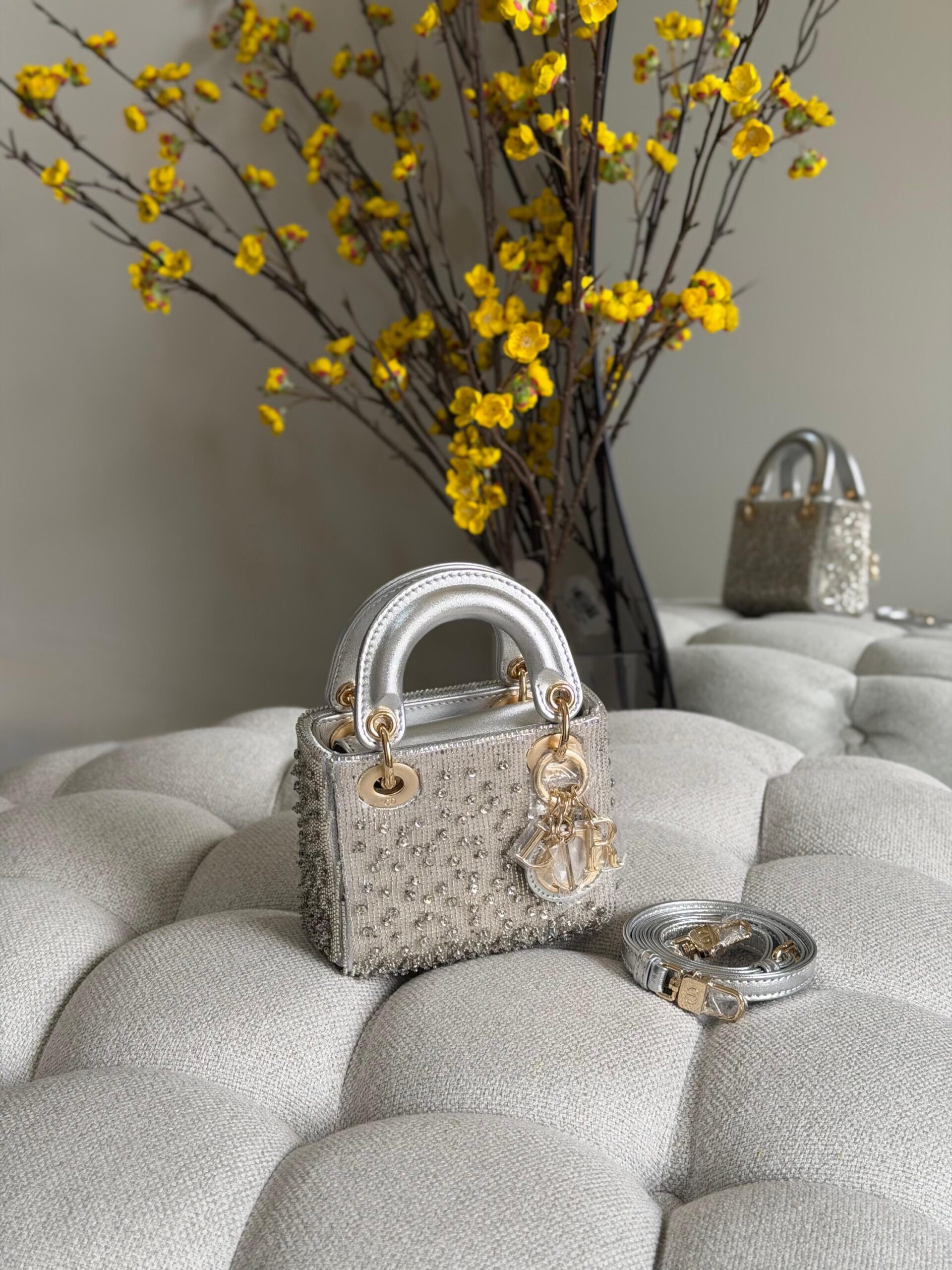 Lady Dior Micro Bag