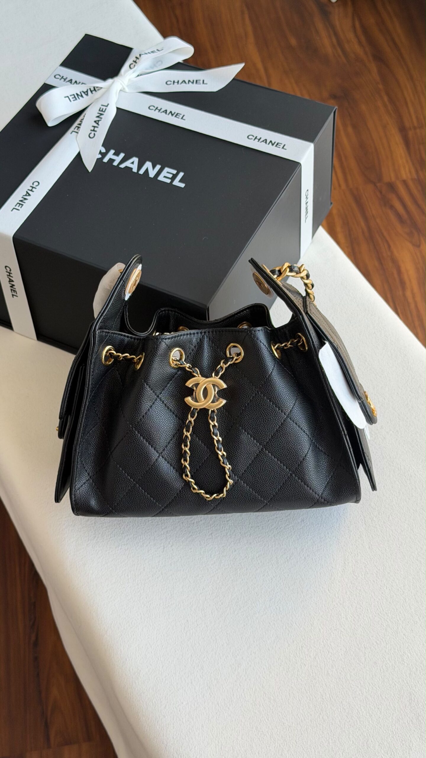 Chanel Hobo Mini 22Cm