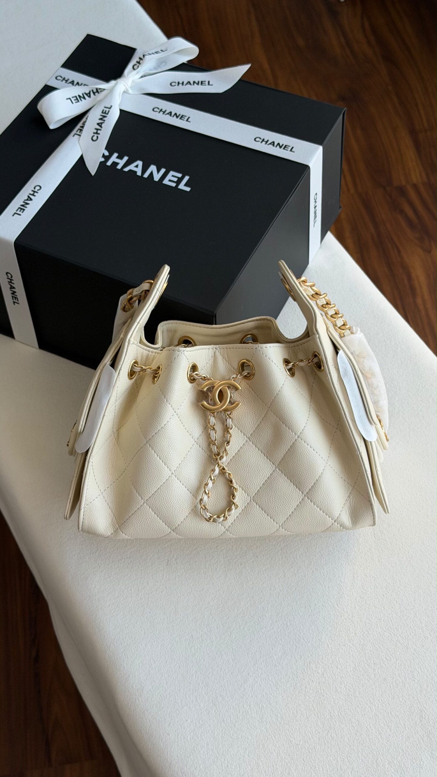 Chanel Hobo Mini 22Cm - Image 9