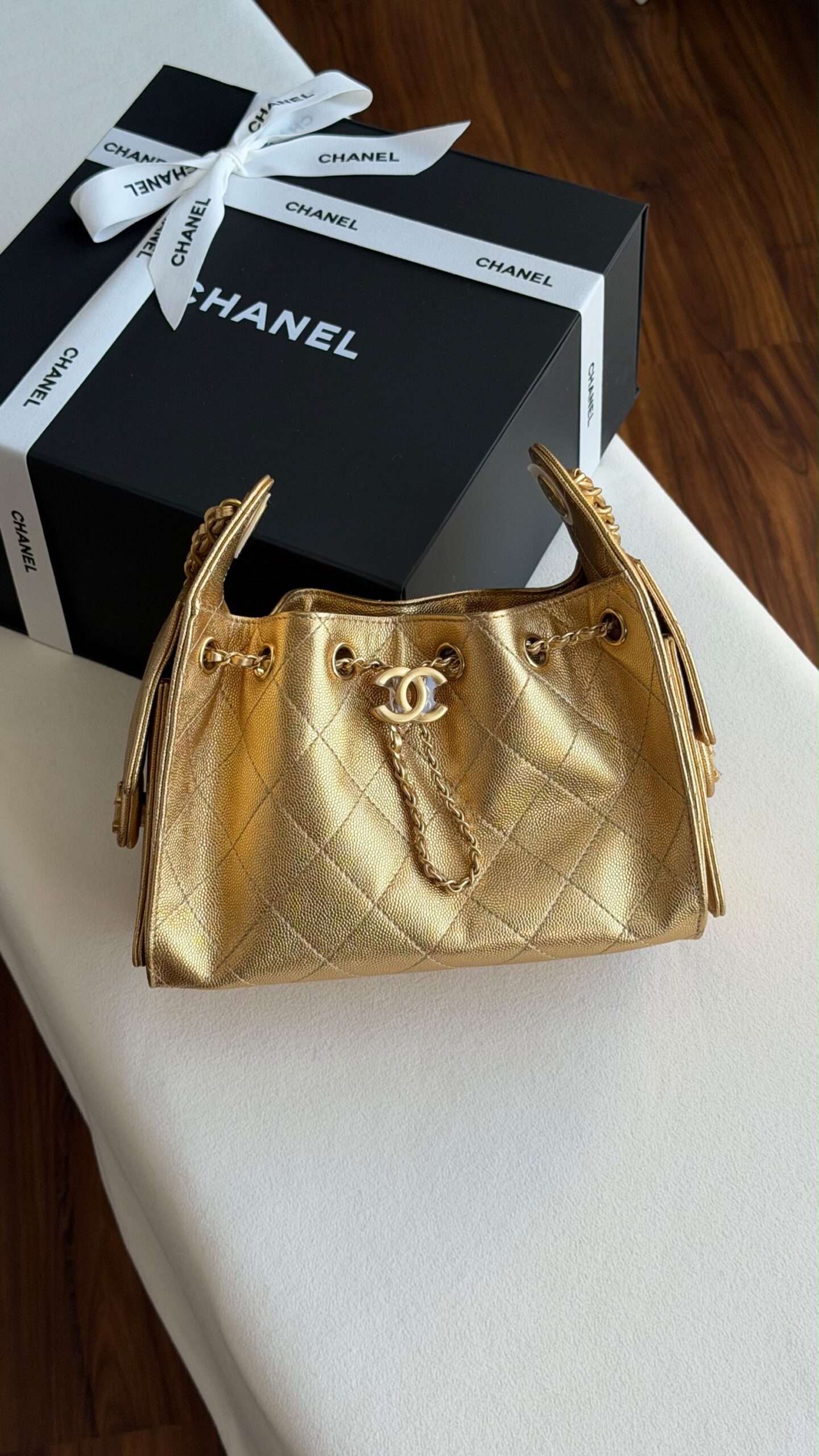 Chanel Hobo Mini 22Cm - Image 15
