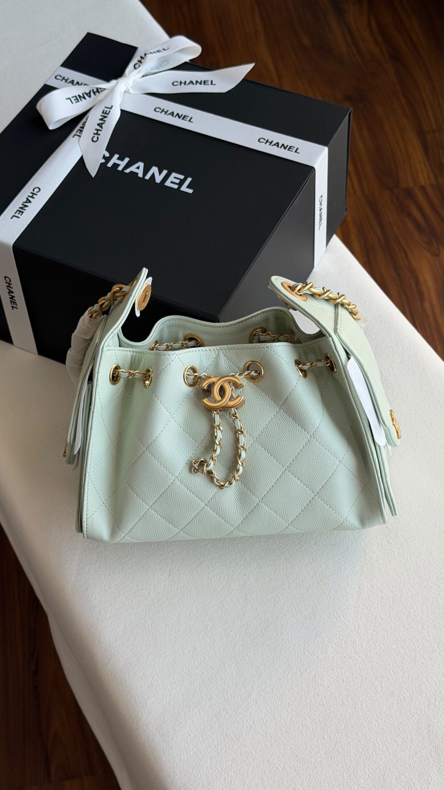 Chanel Hobo Mini 22Cm - Image 5