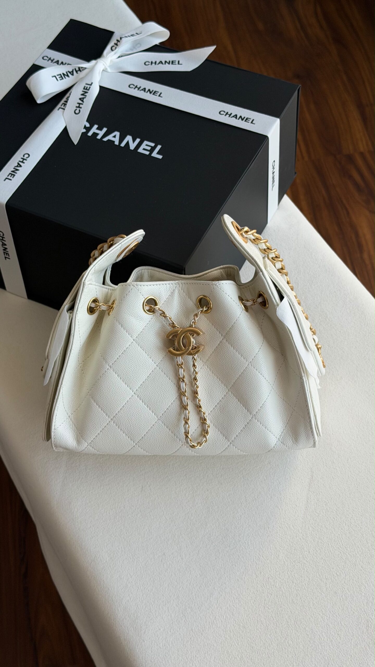 Chanel Hobo Mini 22Cm - Image 22