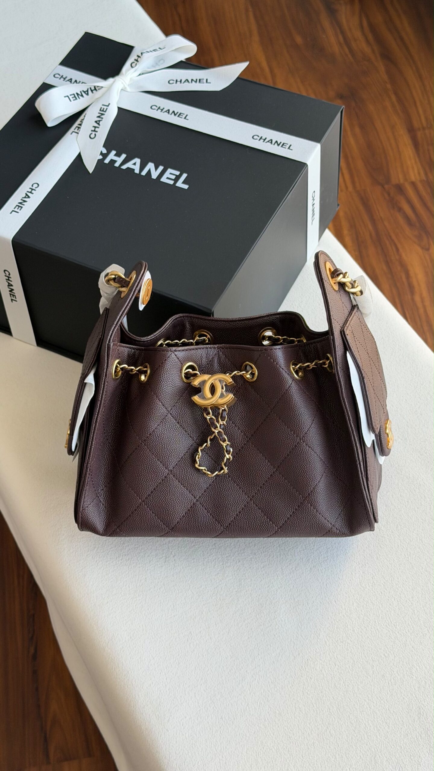 Chanel Hobo Mini 22Cm - Image 21