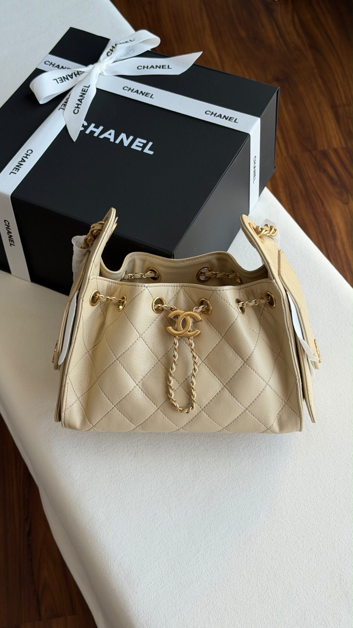 Chanel Hobo Mini 22Cm - Image 2