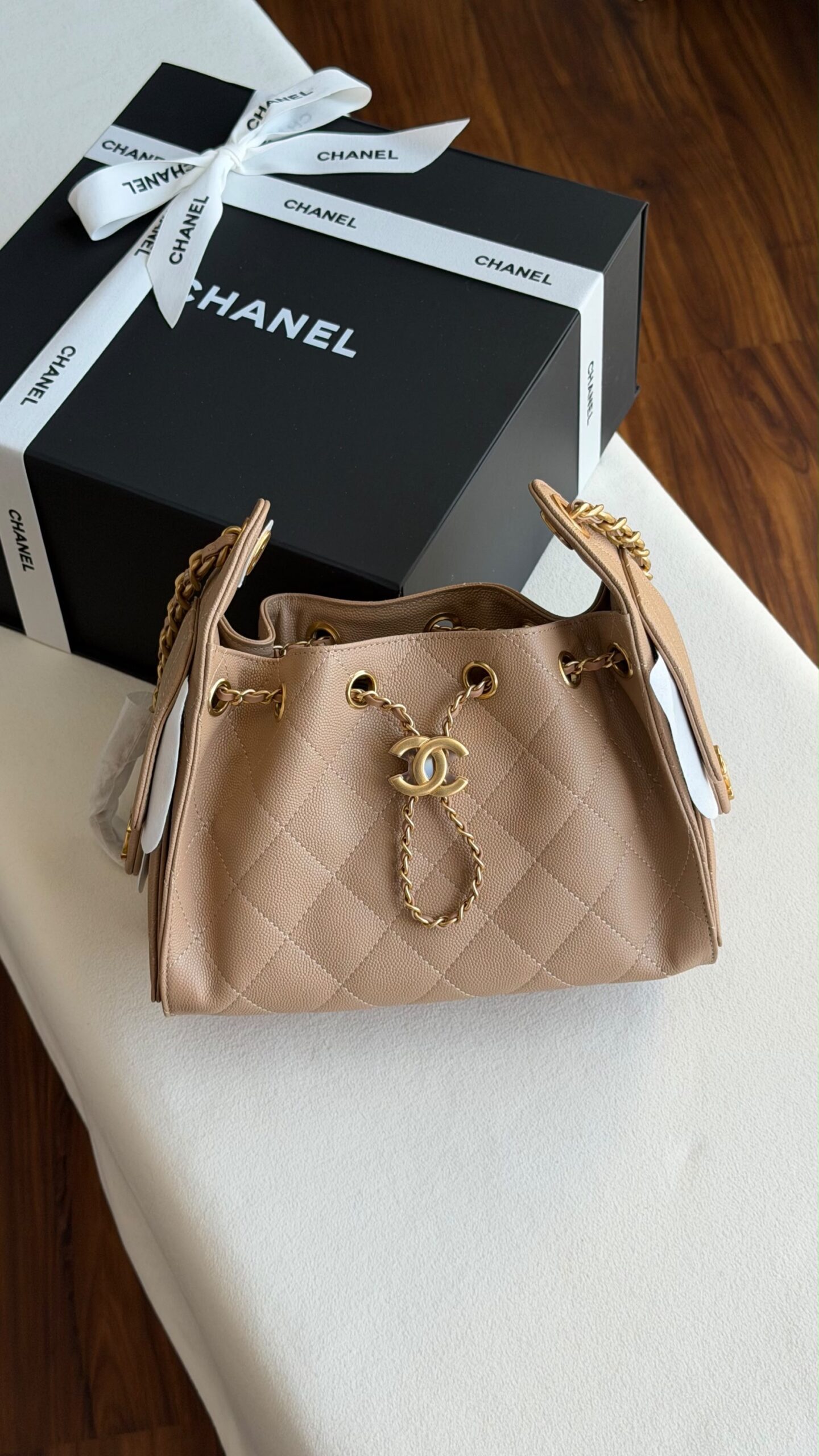 Chanel Hobo Mini 22Cm - Image 25